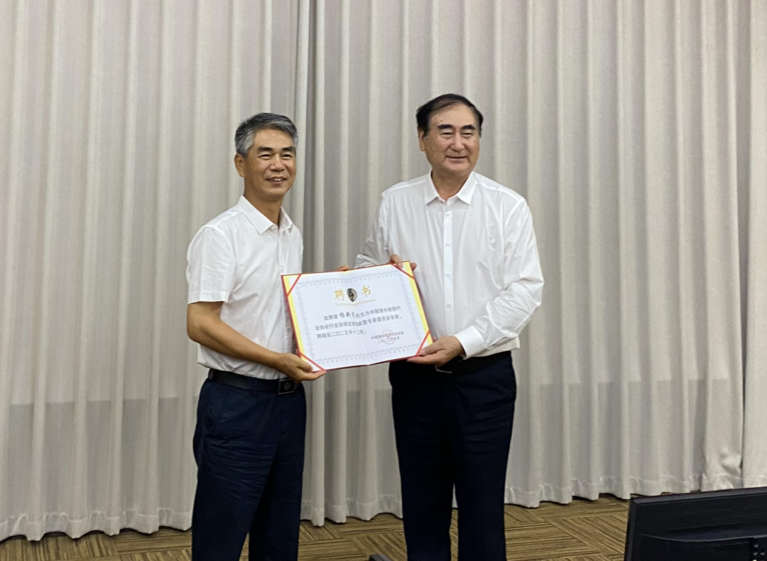 990888藏宝阁香港剧